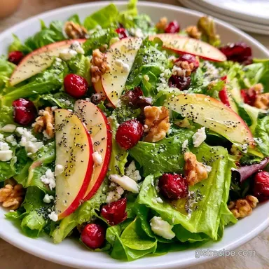 Apple Cranberry Salad in 20 Minutes Recipe Card