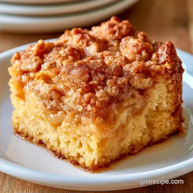 Apple Crumb Cake with Oats